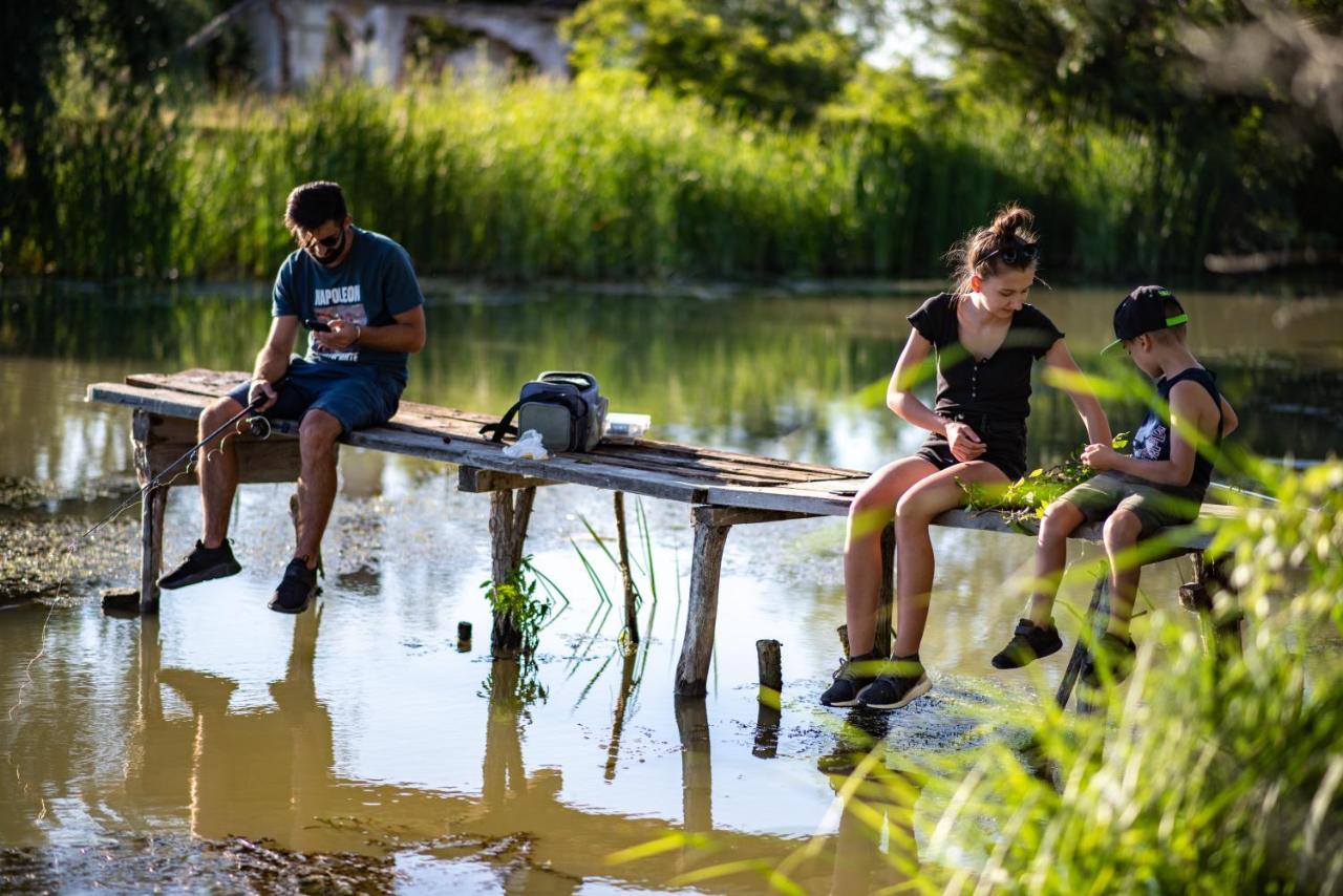 Zen Eco Villa Sepsiszentgyörgy Kültér fotó